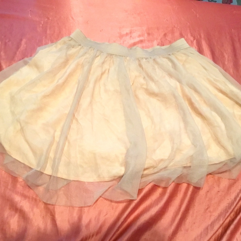 Torrid Skirt Size 2X